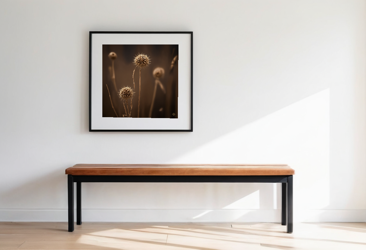 Seedheads at Dusk previewed in a real room