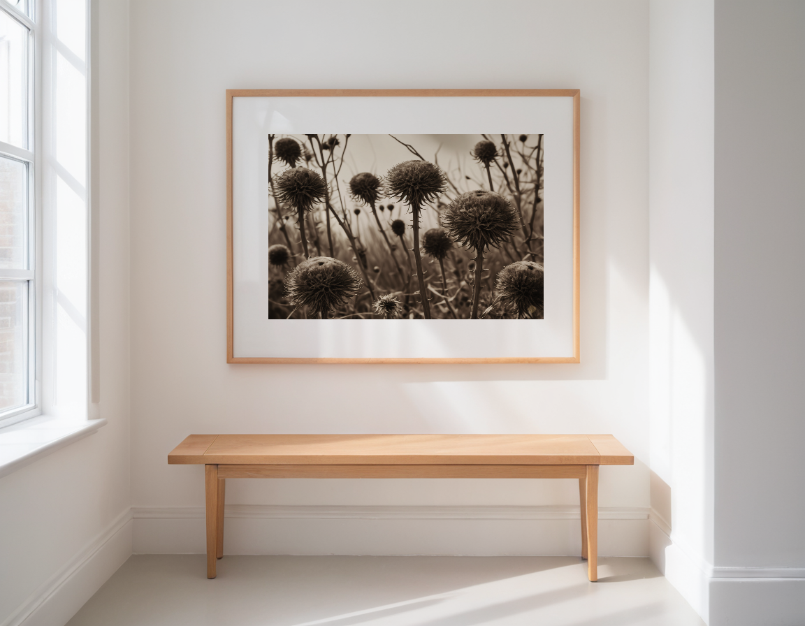 Thistle Hollow previewed in a real room