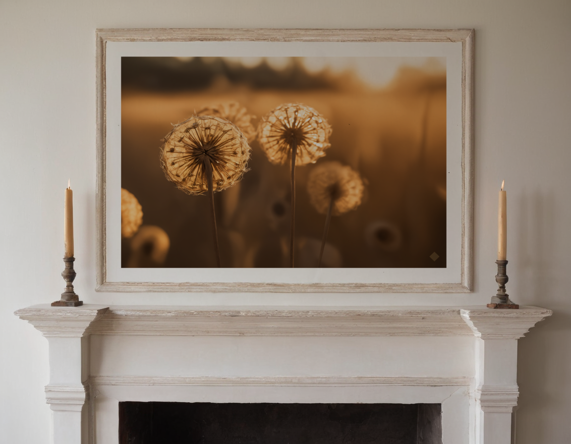Seed Heads Backlit previewed in a real room