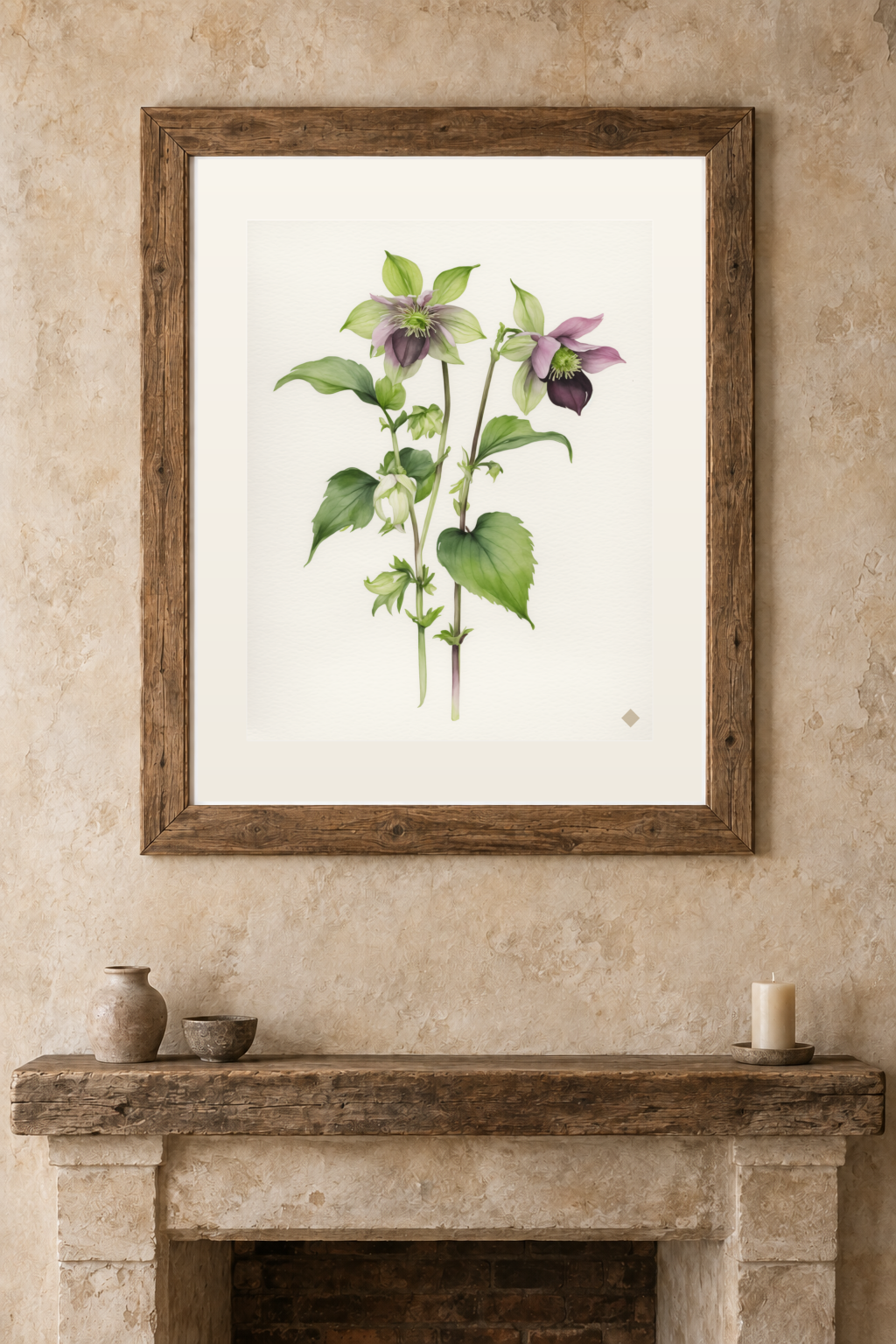 Hellebores in February previewed in a real room