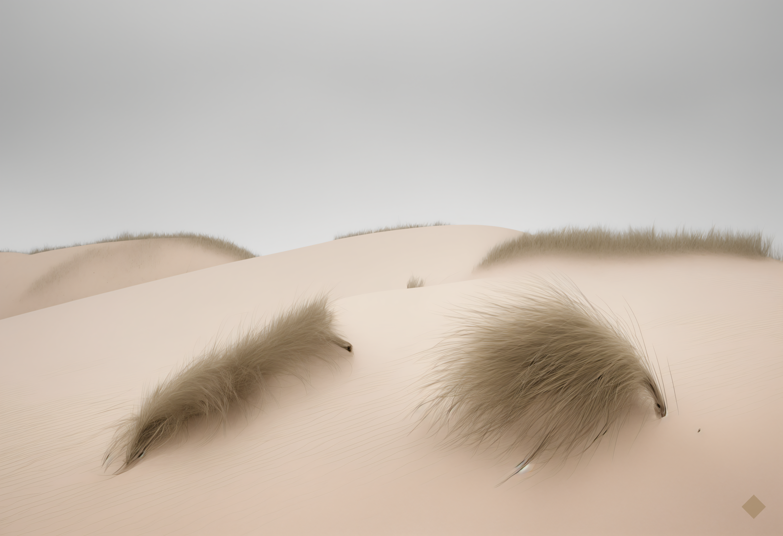 Marram Wind