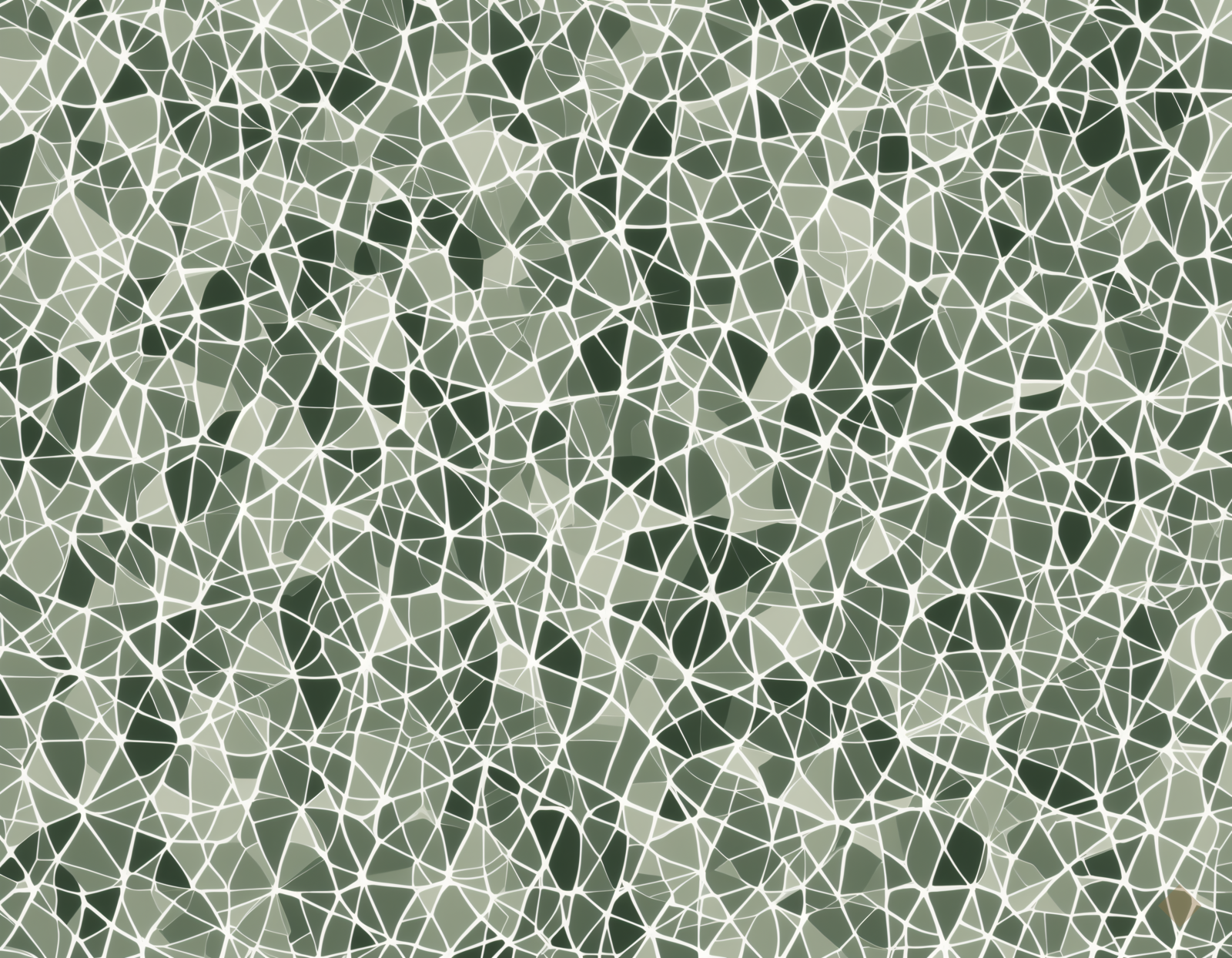 Sage Geometry