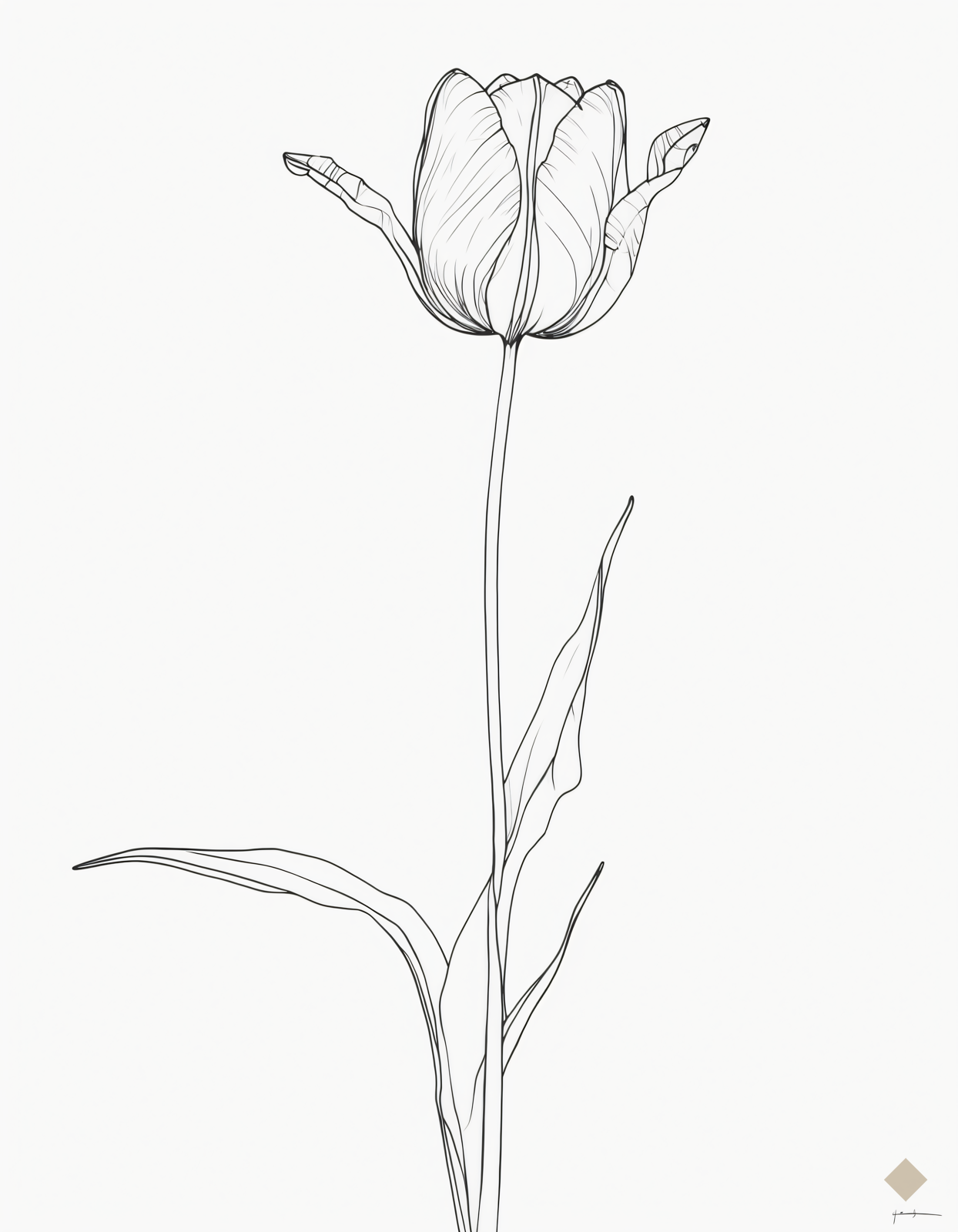 One Line Tulip