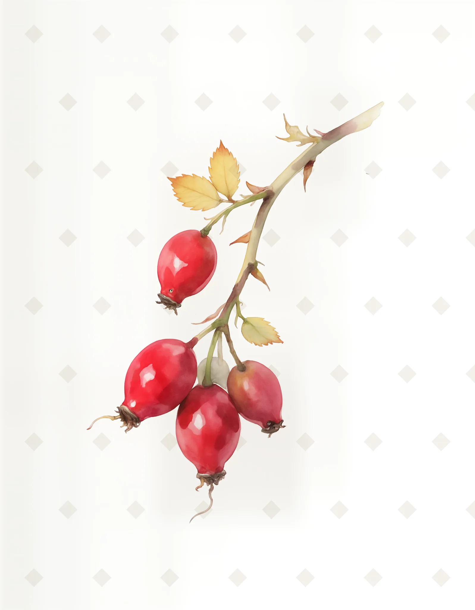 Rosehips on the Briar — Botanical digital art print