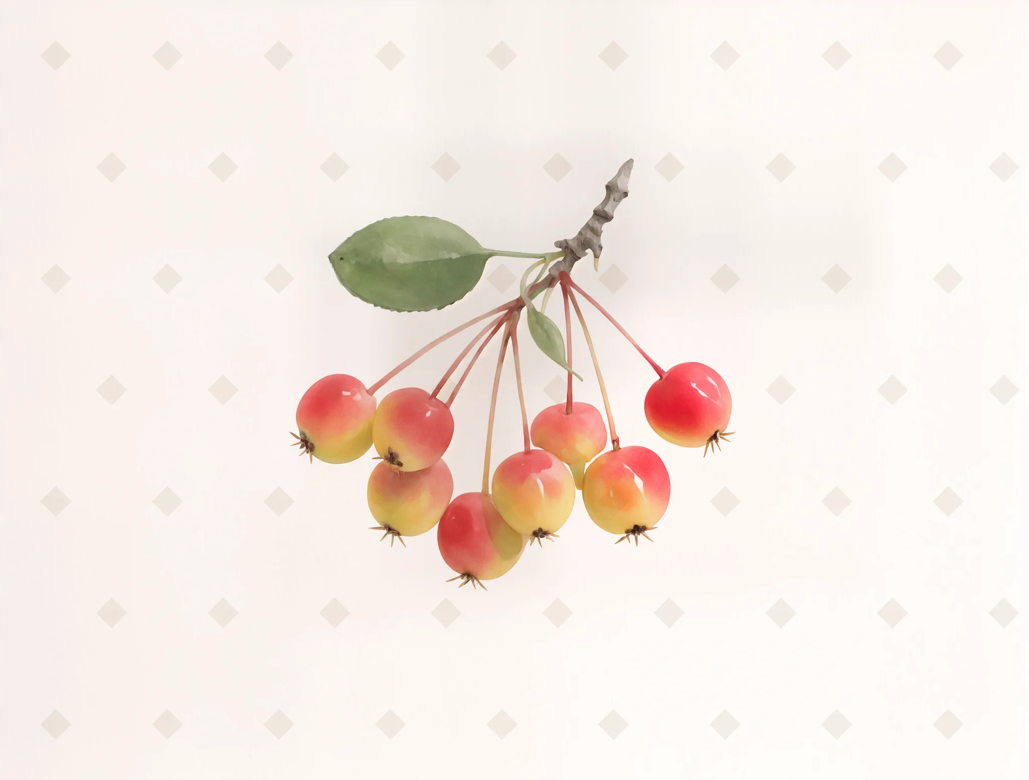 Crab Apples — Botanical digital art print